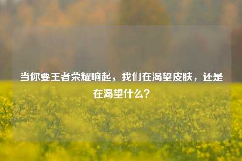 当你要王者荣耀响起,我们在渴望皮肤,还是在渴望什么?