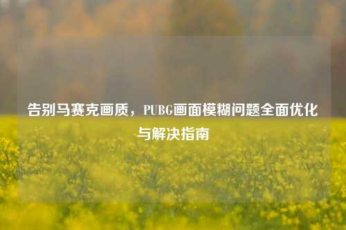 告别马赛克画质，PUBG画面模糊问题全面优化与解决指南