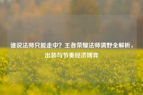 谁说法师只能走中？王者荣耀法师清野全解析，出装与节奏经济博弈