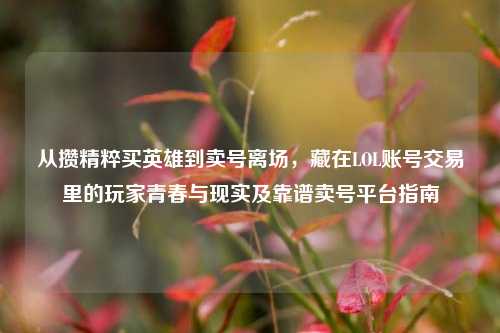 从攒精粹买英雄到卖号离场，藏在LOL账号交易里的玩家青春与现实及靠谱卖号平台指南