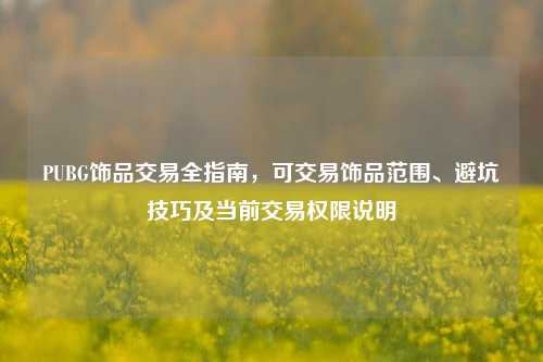 PUBG饰品交易全指南，可交易饰品范围、避坑技巧及当前交易权限说明