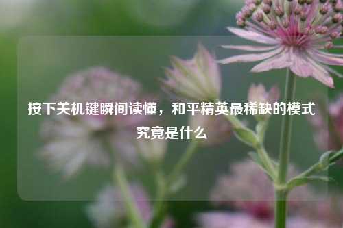 按下关机键瞬间读懂，和平精英最稀缺的模式究竟是什么