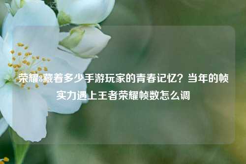 荣耀8藏着多少手游玩家的青春记忆？当年的帧实力遇上王者荣耀帧数怎么调