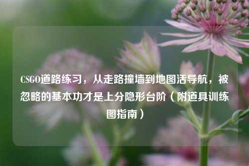 CSGO道路练习，从走路撞墙到地图活导航，被忽略的基本功才是上分隐形台阶（附道具训练图指南）