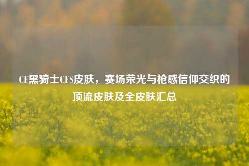 CF黑骑士CFS皮肤,赛场荣光与枪感信仰交织的顶流皮肤及全皮肤汇总
