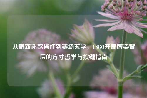 从萌新迷惑操作到赛场玄学，CSGO开局蹲姿背后的方寸哲学与按键指南
