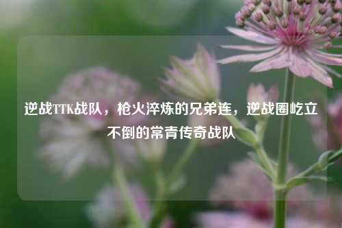 逆战TTK战队，枪火淬炼的兄弟连，逆战圈屹立不倒的常青传奇战队