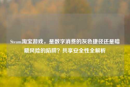 Steam淘宝游戏，是数字消费的灰色捷径还是暗藏风险的陷阱？共享安全性全解析