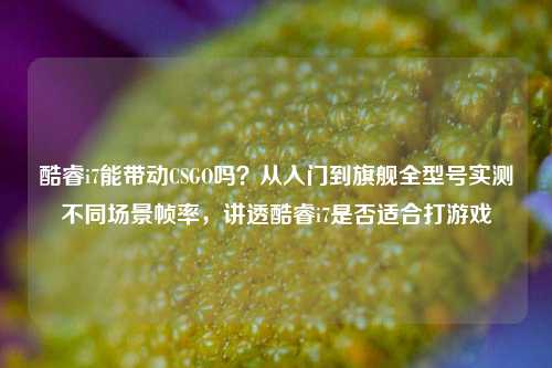 酷睿i7能带动CSGO吗？从入门到旗舰全型号实测不同场景帧率，讲透酷睿i7是否适合打游戏