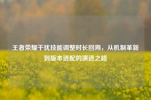 王者荣耀干扰技能调整时长回溯，从机制革新到版本适配的演进之路