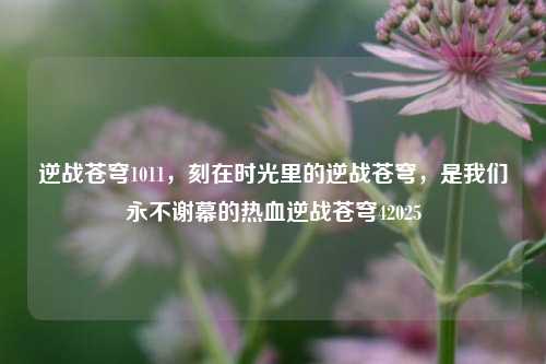 逆战苍穹1011,刻在时光里的逆战苍穹,是我们永不谢幕的热血逆战苍穹42025