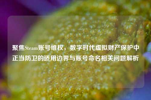 聚焦Steam账号维权，数字时代虚拟财产保护中正当防卫的适用边界与账号命名相关问题解析