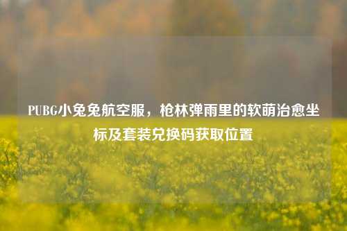PUBG小兔兔航空服，枪林弹雨里的软萌治愈坐标及套装兑换码获取位置