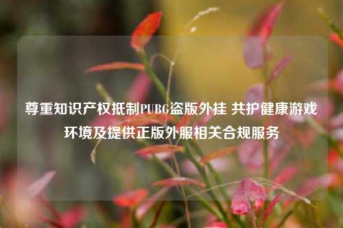 尊重知识产权抵制PUBG盗版外挂 共护健康游戏环境及提供正版外服相关合规服务