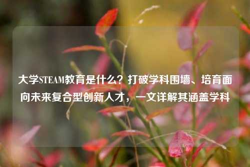 大学STEAM教育是什么?打破学科围墙、培育面向未来复合型创新人才,一文详解其涵盖学科