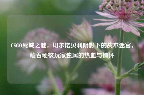 CSGO死城之谜,切尔诺贝利阴影下的战术迷宫,藏着硬核玩家独属的热血与情怀