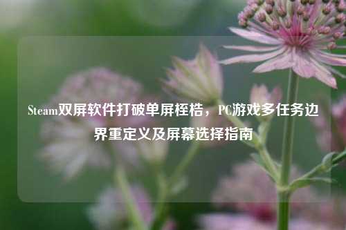 Steam双屏软件打破单屏桎梏，PC游戏多任务边界重定义及屏幕选择指南