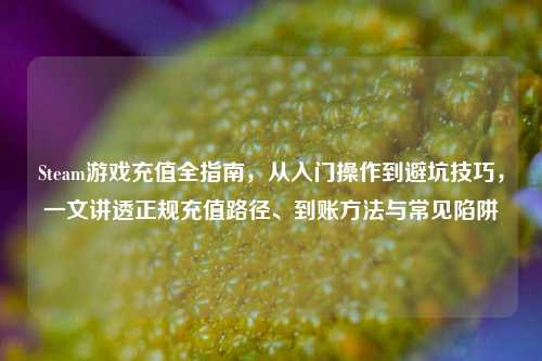 Steam游戏充值全指南，从入门操作到避坑技巧，一文讲透正规充值路径、到账方法与常见陷阱