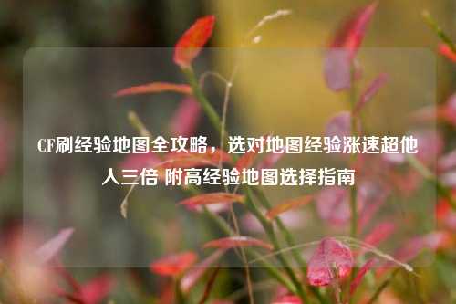 CF刷经验地图全攻略，选对地图经验涨速超他人三倍 附高经验地图选择指南