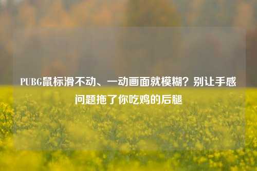 PUBG鼠标滑不动、一动画面就模糊?别让手感问题拖了你吃鸡的后腿