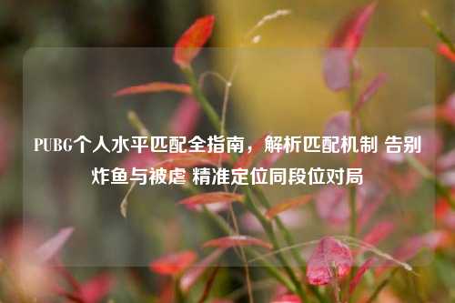 PUBG个人水平匹配全指南，解析匹配机制 告别炸鱼与被虐 精准定位同段位对局