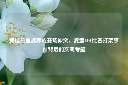 竞技热血越界成赛场冲突,复盘LOL比赛打架事件背后的文明考题