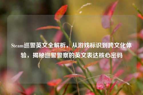 Steam巡警英文全解析，从游戏标识到跨文化体验，揭秘巡警警察的英文表达核心密码