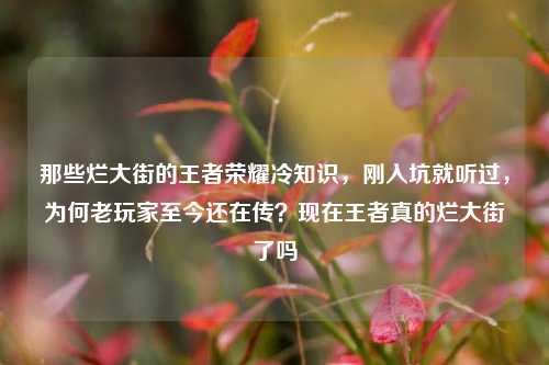 那些烂大街的王者荣耀冷知识，刚入坑就听过，为何老玩家至今还在传？现在王者真的烂大街了吗
