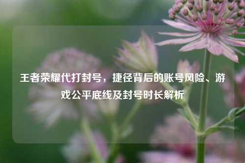 王者荣耀代打封号，捷径背后的账号风险、游戏公平底线及封号时长解析