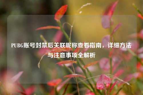 PUBG账号封禁后关联昵称查看指南，详细方法与注意事项全解析