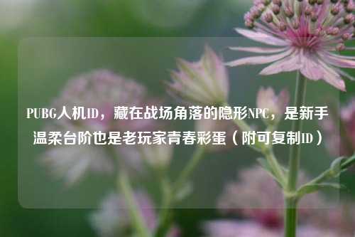PUBG人机ID,藏在战场角落的隐形NPC,是新手温柔台阶也是老玩家青春彩蛋(附可复制ID)