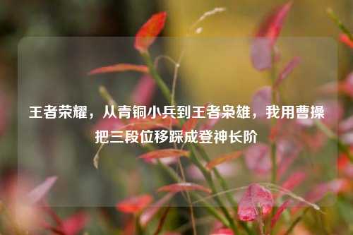 王者荣耀,从青铜小兵到王者枭雄,我用曹操把三段位移踩成登神长阶