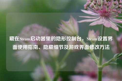 藏在Steam启动器里的隐形控制台，Steam设置界面使用指南、隐藏细节及游戏界面修改方法