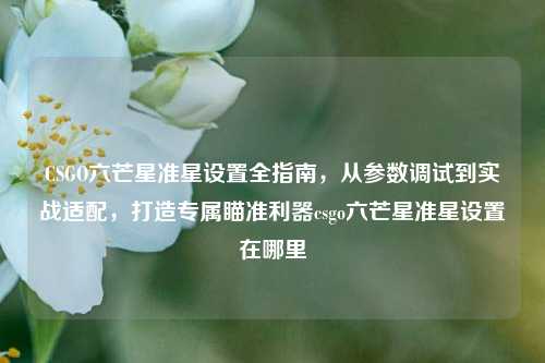 CSGO六芒星准星设置全指南，从参数调试到实战适配，打造专属瞄准利器csgo六芒星准星设置在哪里