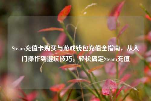 Steam充值卡购买与游戏钱包充值全指南，从入门操作到避坑技巧，轻松搞定Steam充值