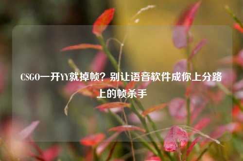 CSGO一开YY就掉帧?别让语音软件成你上分路上的帧杀手
