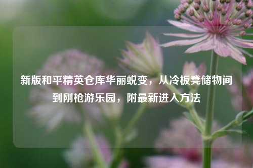 新版和平精英仓库华丽蜕变,从冷板凳储物间到刚枪游乐园,附最新进入方法