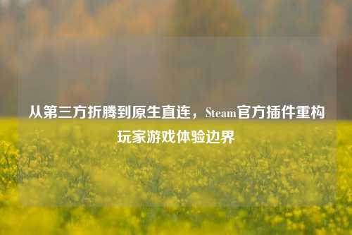 从第三方折腾到原生直连，Steam官方插件重构玩家游戏体验边界
