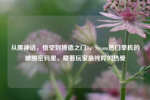 从黑神话,悟空到博德之门3,Steam热门单机的破圈密码里,藏着玩家最纯粹的热爱