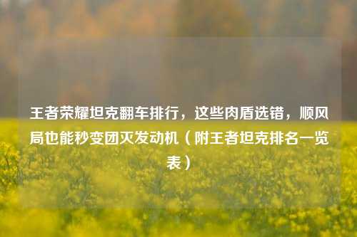 王者荣耀坦克翻车排行，这些肉盾选错，顺风局也能秒变团灭发动机（附王者坦克排名一览表）