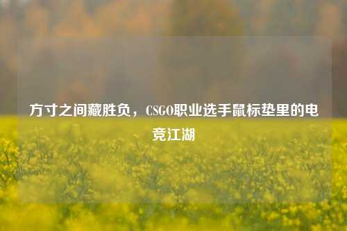 方寸之间藏胜负，CSGO职业选手鼠标垫里的电竞江湖