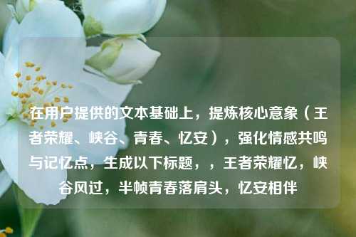在用户提供的文本基础上,提炼核心意象(王者荣耀、峡谷、青春、忆安),强化情感共鸣与记忆点,生成以下标题,,王者荣耀忆,峡谷风过,半帧青春落肩头,忆安相伴