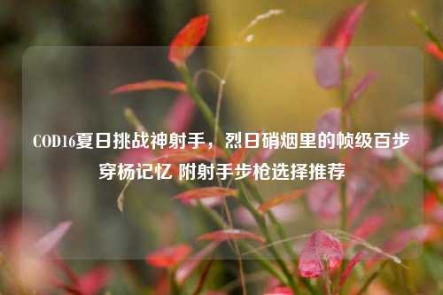 COD16夏日挑战神射手，烈日硝烟里的帧级百步穿杨记忆 附射手步枪选择推荐