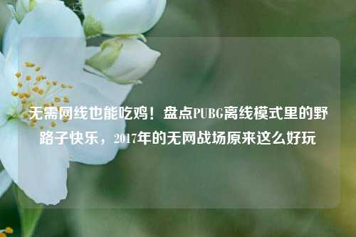 无需网线也能吃鸡！盘点PUBG离线模式里的野路子快乐，2017年的无网战场原来这么好玩