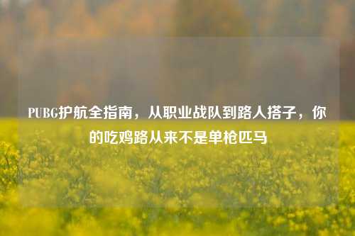 PUBG护航全指南，从职业战队到路人搭子，你的吃鸡路从来不是单枪匹马