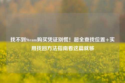 找不到Steam购买凭证别慌！超全查找位置+实用找回方法指南看这篇就够
