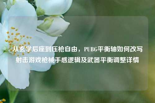 从玄学后座到压枪自由，PUBG平衡轴如何改写射击游戏枪械手感逻辑及武器平衡调整详情