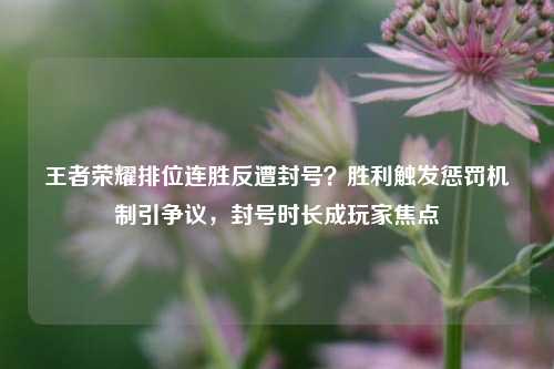 王者荣耀排位连胜反遭封号？胜利触发惩罚机制引争议，封号时长成玩家焦点