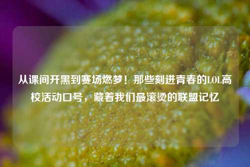 从课间开黑到赛场燃梦!那些刻进青春的LOL高校活动口号,藏着我们最滚烫的联盟记忆