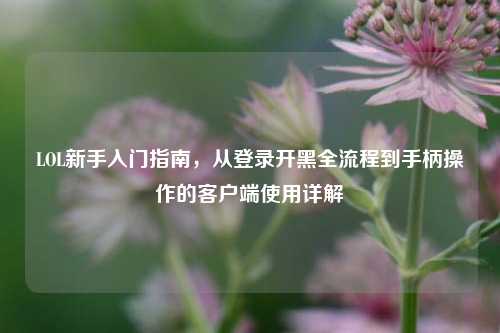 LOL新手入门指南，从登录开黑全流程到手柄操作的客户端使用详解